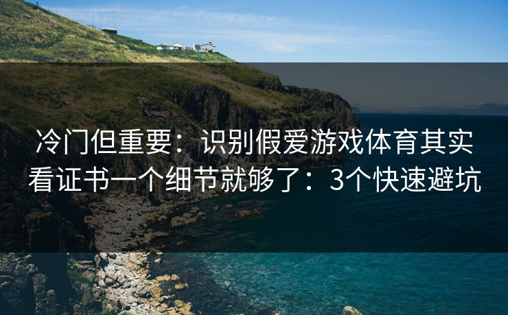 冷门但重要：识别假爱游戏体育其实看证书一个细节就够了：3个快速避坑