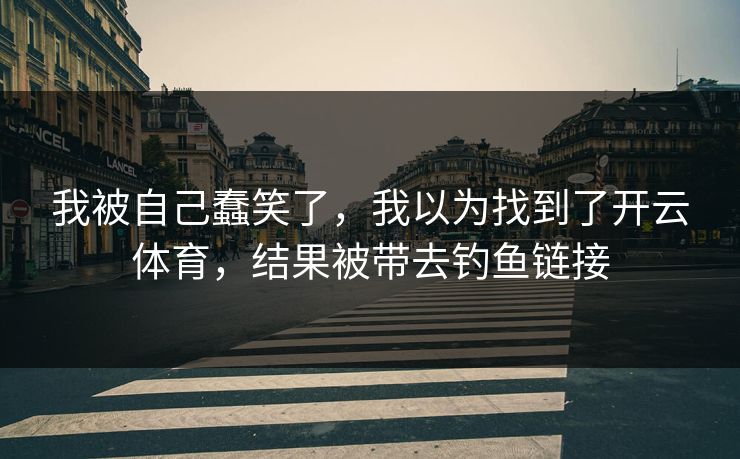 我被自己蠢笑了，我以为找到了开云体育，结果被带去钓鱼链接