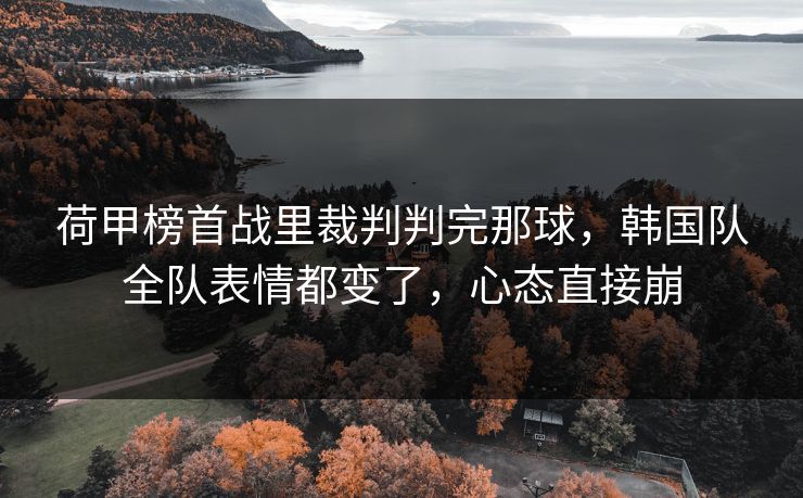 荷甲榜首战里裁判判完那球，韩国队全队表情都变了，心态直接崩